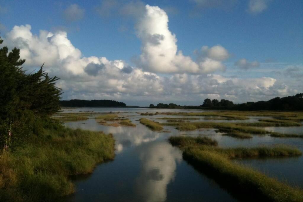 Сasa de vacaciones Maison Avec Jardin Clos. Animaux Acceptés - Wifi - Proche Plages De Sur Et Carnac La Trinité-sur-Mer
